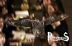 Errol Harry Potter - PotterPedia.it