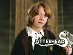 Leotordo Harry Potter - PotterPedia.it