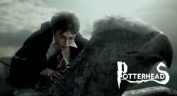 Fierobecco Harry Potter - PotterPedia.it