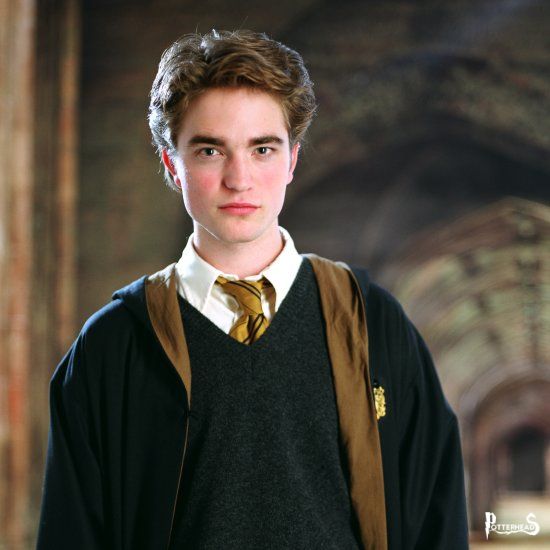 Cedric Diggory Harry Potter - PotterPedia.it