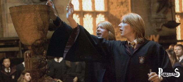 Pozione Invecchiante Harry Potter - PotterPedia.it