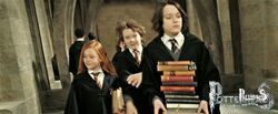 James Potter Harry Potter - PotterPedia.it