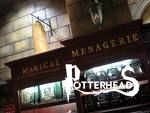 Serraglio Stregato Harry Potter - PotterPedia.it