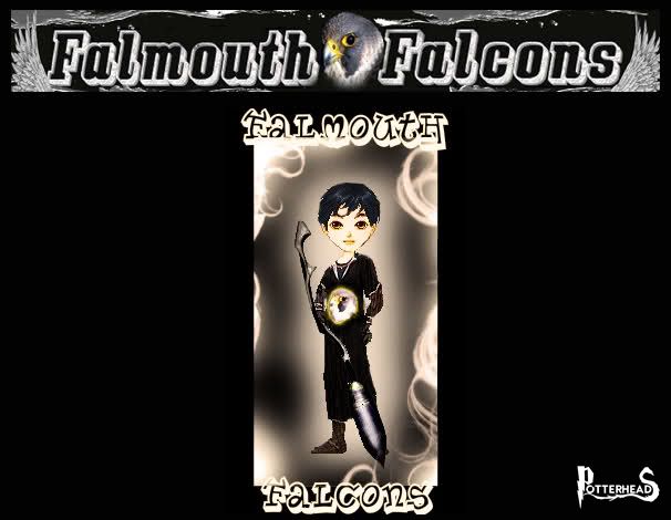 Falmouth Falcons Harry Potter - PotterPedia.it