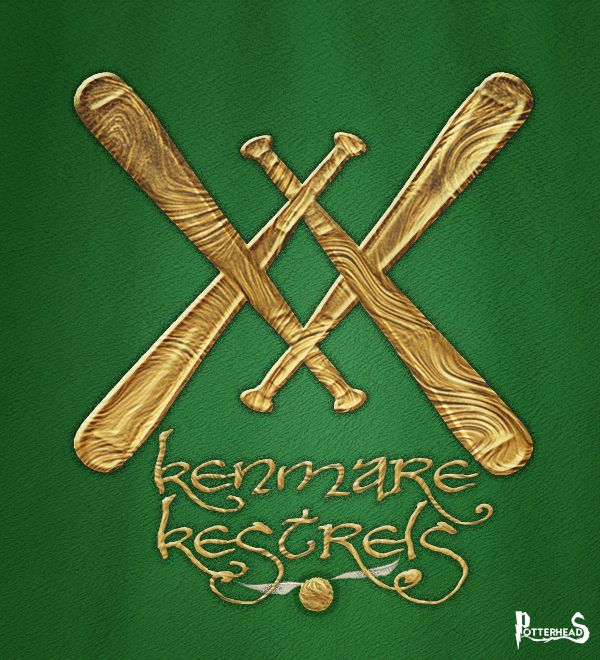Kenmare Kestrels Harry Potter - PotterPedia.it