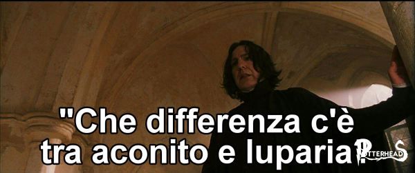 Il linguaggio dei Fiori in Harry Potter Harry Potter - PotterPedia.it