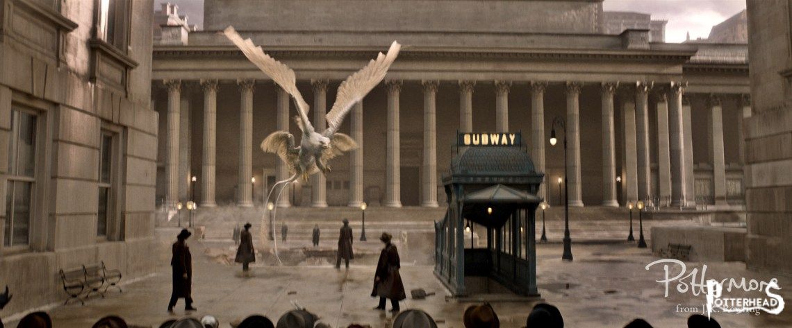 Creature scoperte nei Trailer di Animali Fantastici Harry Potter - PotterPedia.it