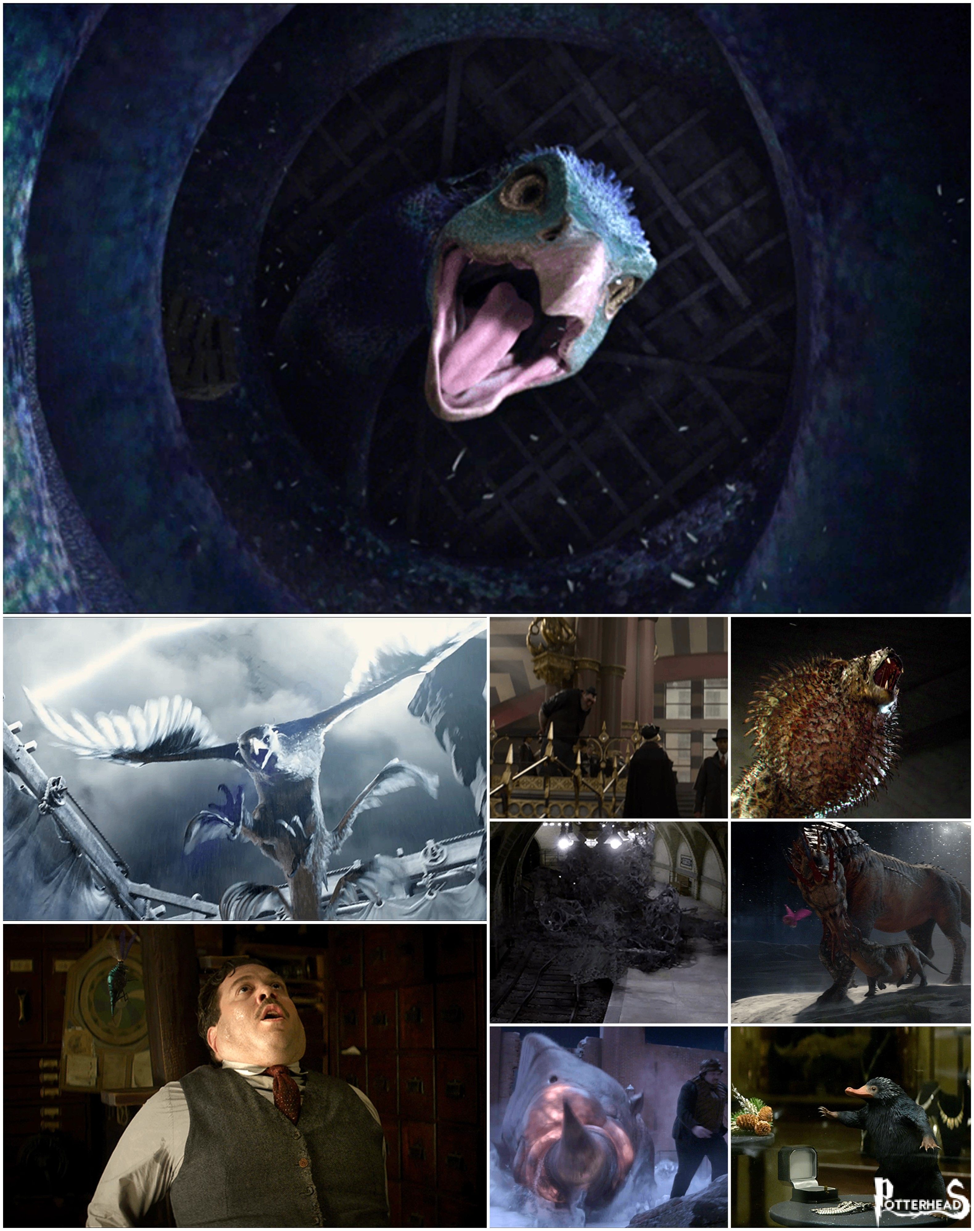 Creature scoperte nei Trailer di Animali Fantastici Harry Potter - PotterPedia.it