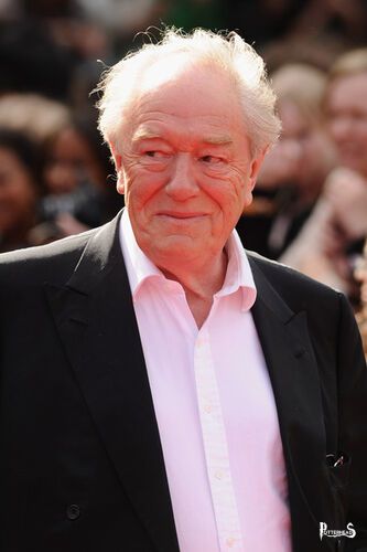 Michael Gambon Harry Potter - PotterPedia.it